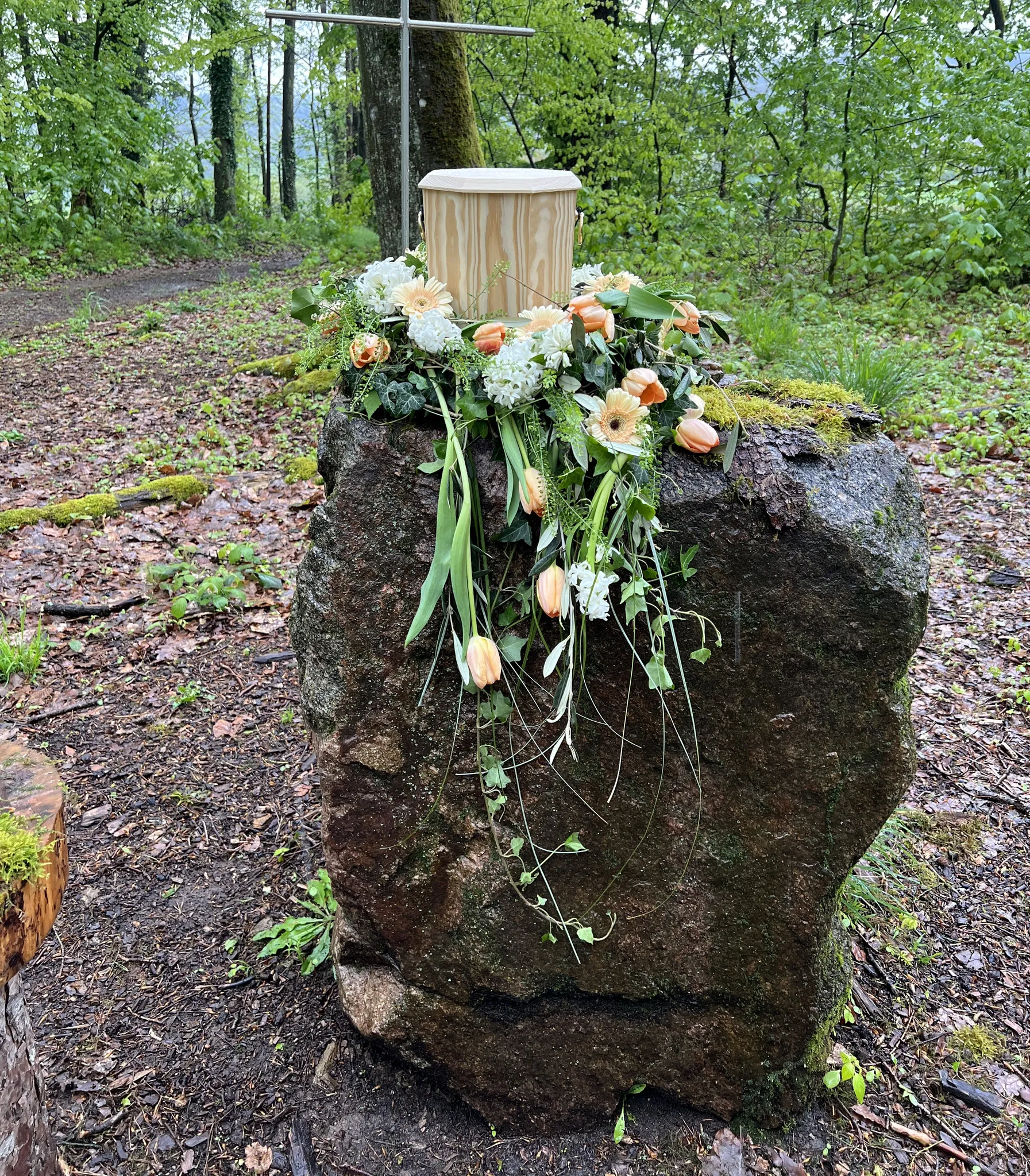 Baumbestattung – Urnenbeisetzung unter einem Baum im Wald
